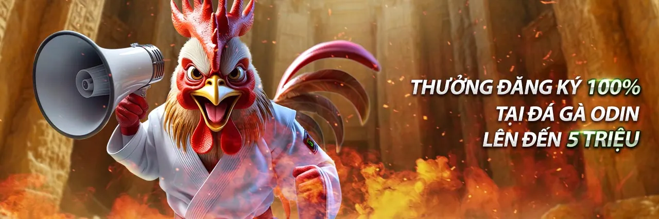 Khuyến Mãi Bong88 Độc Quyền 2026